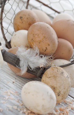 dirt fresh hen eggs in a basket on a table の写真素材