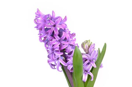 Arrayの写真素材