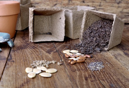 different vegetable seeds with a bucket of spilled soil on wooden backgroundの写真素材