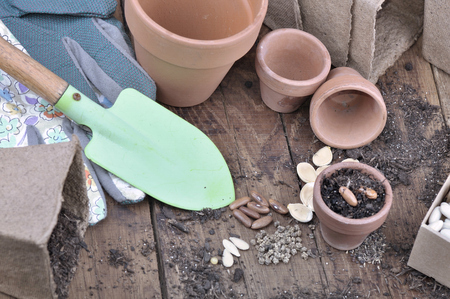 different seeds with peat bucket and shovel for seedling on wooden rustic tableの写真素材
