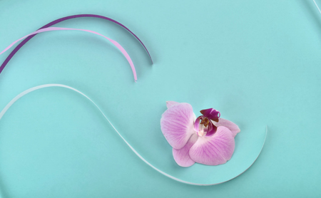 orchid petal in ribbon on blue backgroundの写真素材