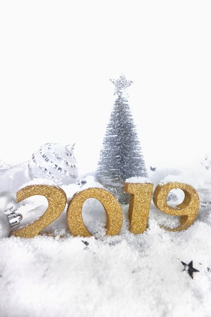 2019 new year golden figures on christmas decoration and snowの写真素材