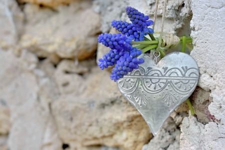 spring flowers and  iron heart hung on a outdoor stoned wallの写真素材