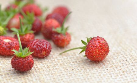 close on fresh wild strawberries put on a natural fabricの写真素材
