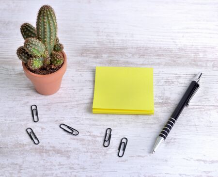 top view on  yellow paper next to a pen  and paper clip with cactus potted 
