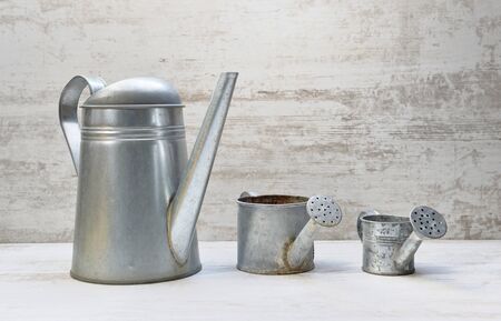metal watering can arranged from largest to smallest on white wooden background