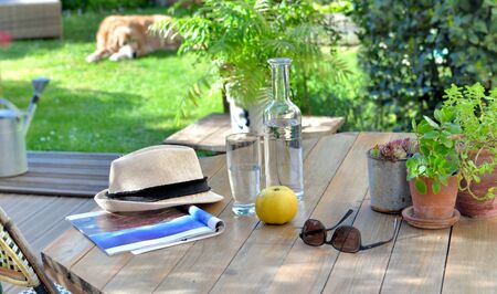 close on glass drink and apple on a wooden table in garden  with a dog background の写真素材