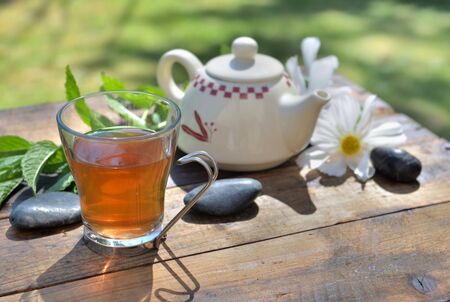 cup of mint tea and teapot on a wooden table in garden among fresh  leaf and white flowersの写真素材