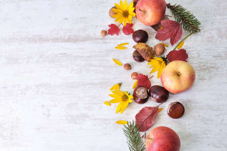red apples, brown, yellow flowers with leaves in autumnal still life on white background