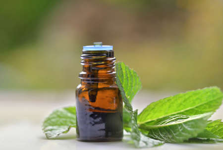 mint leaf with a bottle of aromatic oil on blur backgroundの写真素材