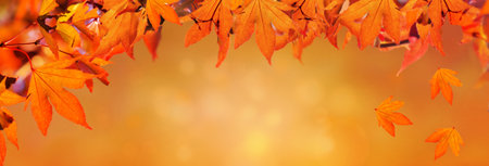 orange autumnal background with leaf ofmaple tree