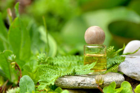essential oil bottle with woden cap on a stone in fern foliage