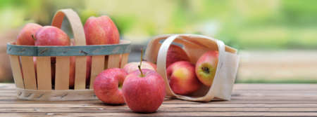 group of red apples in little basket on a wooden table in garden on green backgroundの写真素材