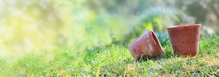 two old terracotta flower pot on the grass in a garden - gardening conceptの写真素材