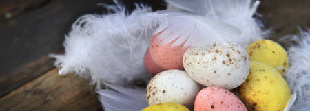 closeup on easter eggs painted in white feathers on wooden background