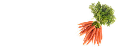 bunch of fresh carrots with leaf isolated on white background with copy spaceの写真素材
