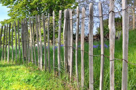 fence in natural wood posts protecting a part of grass in a gardenの写真素材