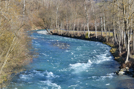 view on beautiful blue alpine river flowing between forest bank in springの写真素材