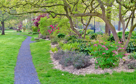 alley crossing a beautiful garden with plants and trees in a massifの写真素材