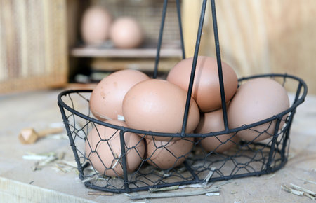 chicken eggs collected in little metal basket in front of an opening eggs box in hay on wooden backgroundの写真素材