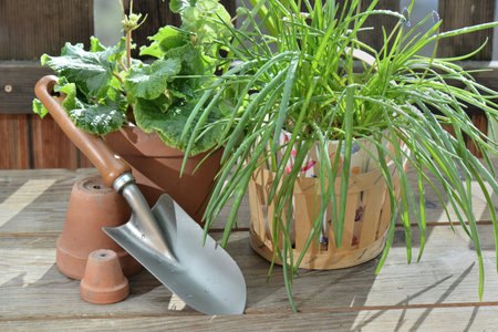 flower pot and plant with shovel on wooden table in terraceの写真素材
