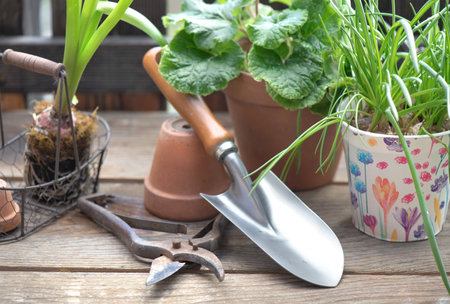 garden tools with a little shovel on a wooden table among flowerpot and plant in terraceの写真素材
