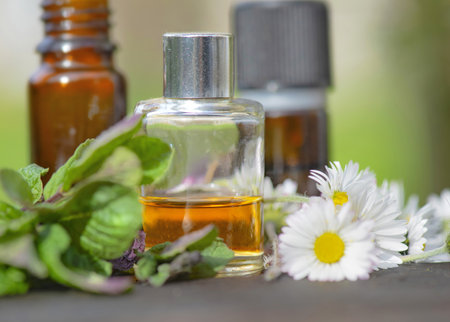 closeup on a bottle of essential oil and daisies with fresh mint leaf on a wooden table outdoorsの写真素材
