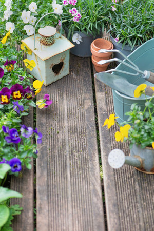 pretty colorful flowers blooming and arranged on part of wooden terrace with decorative flower pots and lanternの写真素材