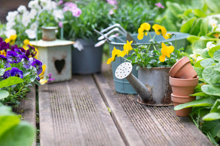 pretty colorful flowers blooming and arranged on part of wooden terrace with decorative flower pots and lanternの写真素材