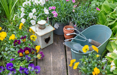 pretty colorful flowers blooming and arranged on part of wooden terrace with decorative flower pots and lanternの写真素材