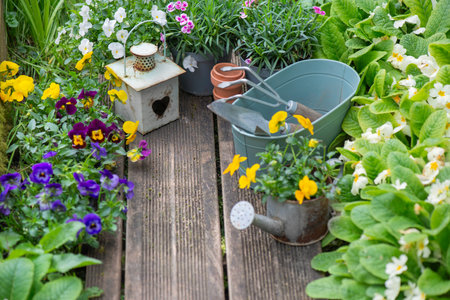 pretty colorful flowers blooming and arranged on part of wooden terrace with decorative flower pots and lanternの写真素材
