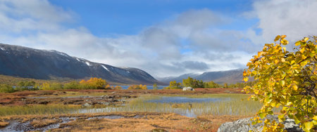 view on autumn colored plants growing at the water's edge with mountains background in Norwayの写真素材