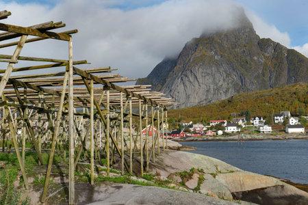 Picturesque landscape on a fishing village with fish drier in Reine in Lofoten Islands, North Norwayの写真素材
