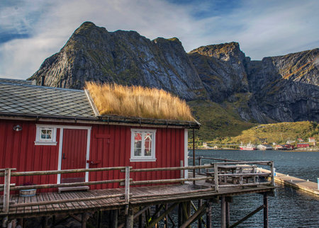 red cabin on wooden pontoon by the sea with vegetalized roof in Norwegian village Reine (queen) iwith rocky mountains background in the archipelago of Lofotenの写真素材