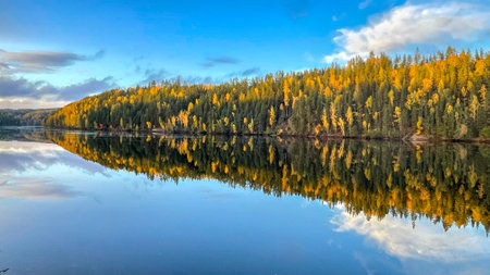 beautiful view of a forest taking the colors of autumn on a sweden side surrounded by water and reflecting on the surfaceの写真素材