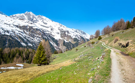 footpath crossing a mountainous landscape with snow-capped peaks background in alpine valley under blue sky in Savoie Franceの写真素材