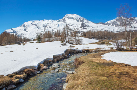 view of snowy alpine mountain with in front a little steam flowing in meadow in the tarentaise valley in Savoie france Le Monalの写真素材