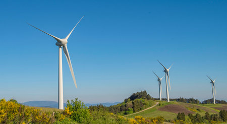 field of windmill under blue sky in greenery meadow