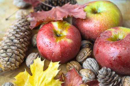 closeup on bright red apples covered by drops, walnuts and pine cones on a plank with autumn leaves still life autumnal foodの写真素材