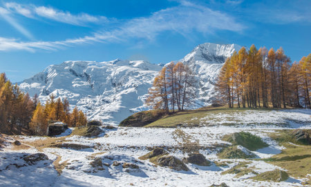 view on snowy mountain range in tarentaise valley under blue sky and golden larch trees in forestの写真素材