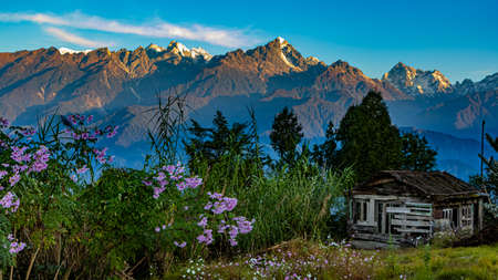 View of flowers near a broken hut and fog in the distant valley with snow clad mountain ranges in the backgroundの写真素材