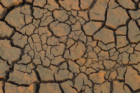 Dry piece of land with cracks  and sunlight falling on it