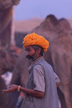 An anxious looking Camel trader with his camels at Pushkar camel festival at pushkar, Rajasthan, India on 19 November 2018のeditorial素材