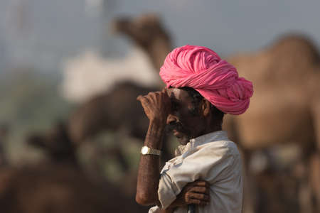 An anxious looking Camel trader with his camels at Pushkar camel festival at pushkar, Rajasthan, India on 19 November 2018のeditorial素材
