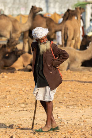 Camel traders with their camels at Pushkar camel festival at pushkar, Rajasthan, India on 19 November 2018のeditorial素材