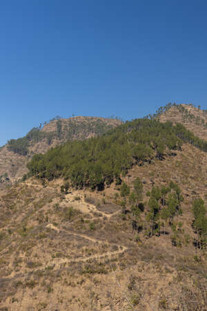 A mountain trail going up the hill top with trees on the top on a bright sunny day
