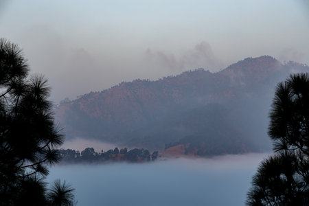 A view of mountains and valley covered in early morning fog and mist with trees framing the corners...