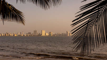 A view of marine drive skyscrapers through coconut leaves from marine drive beach at Mumbai India on 2 April 2021のeditorial素材
