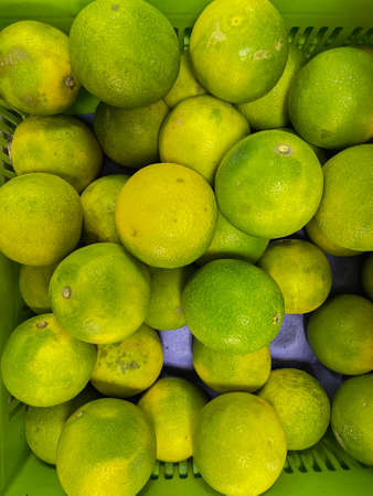 Fresh Green and yellow heap of Sweet limes kept in a shelfの写真素材