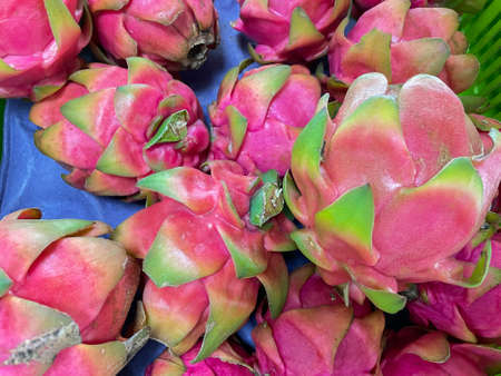 Close up view of fresh organic dragon fruits kept together